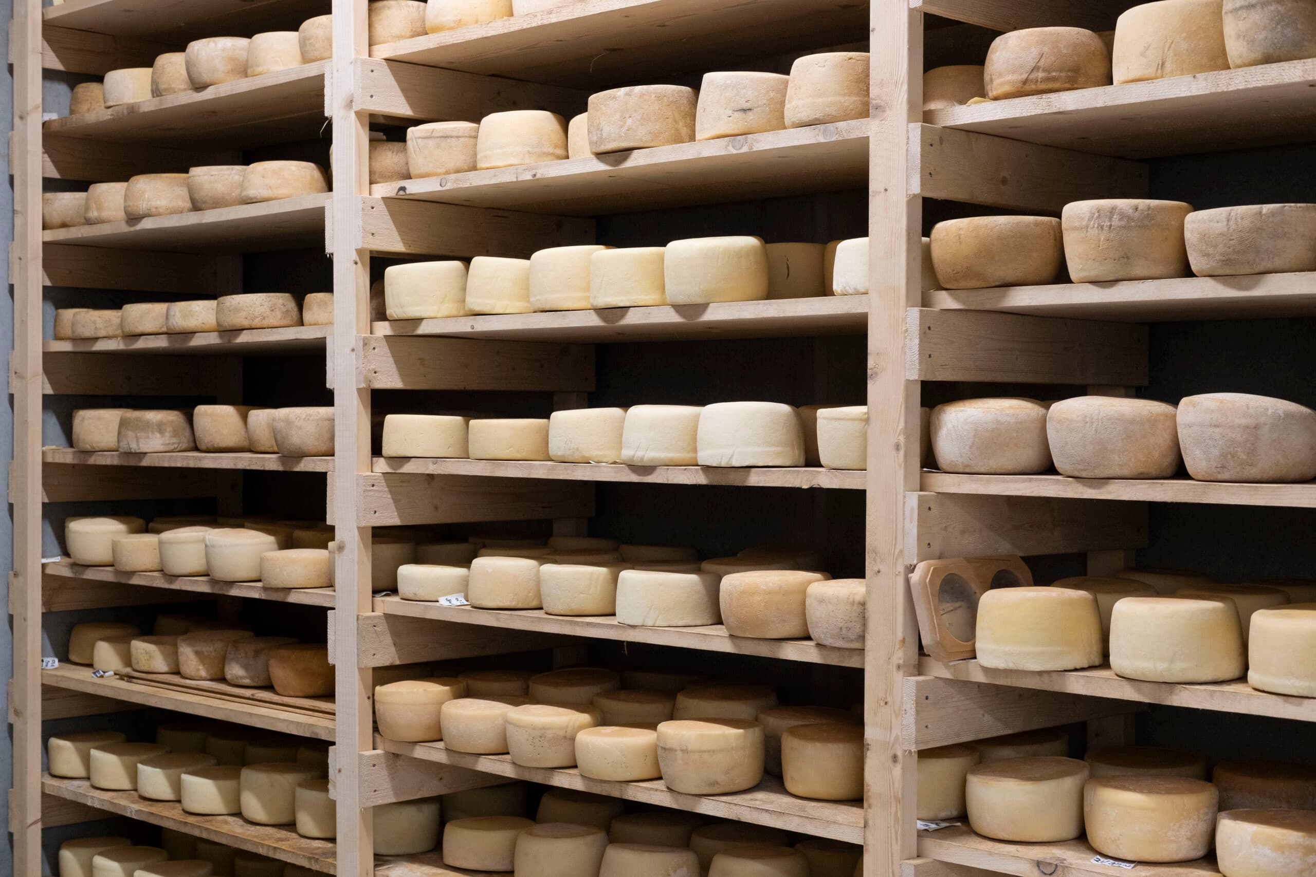 Modne ostar på hyller i Lega sitt ysteri i Rauland