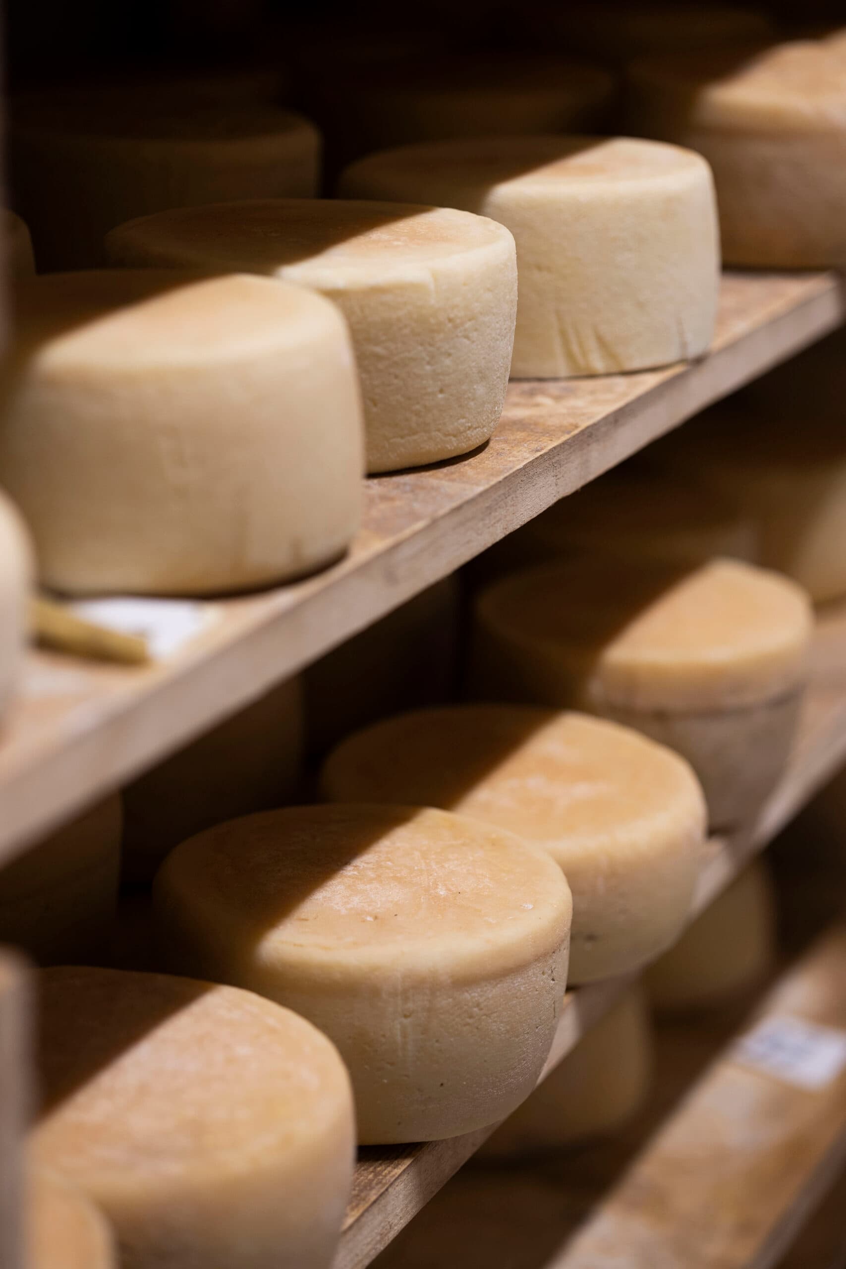 Nærbilete av handverksost frå Lega